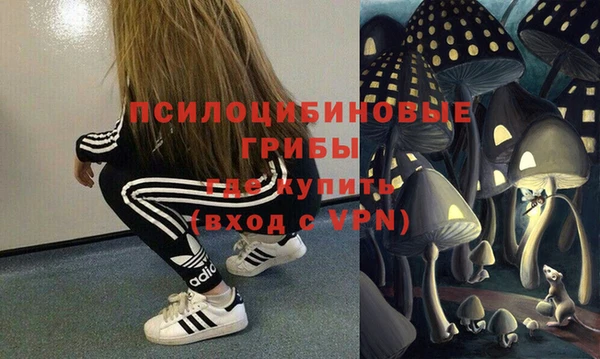 хмурый Липки