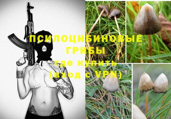 spice Лихославль