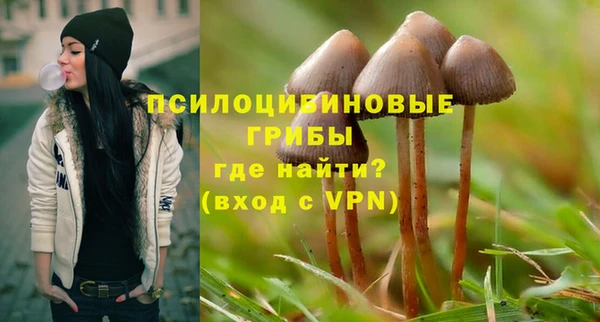 spice Лихославль