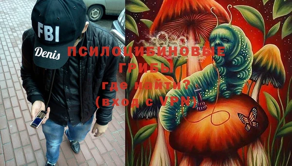 хмурый Липки